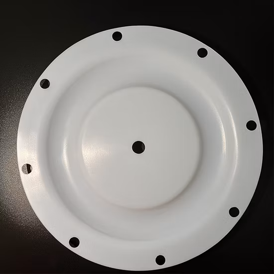286-096-600 Kits de piezas de repuesto para reparación de bombas Diafragma de PTFE para diafragmas Sandpiper Aodd